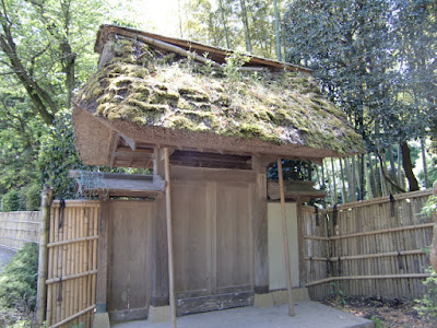 未使用 昭和10年頃◇北大路 魯山人 星岡窯 黄瀬戸『梅の枝と 未使用 昭和10年頃◇北大路 魯山人 星岡窯 黄瀬戸『梅の枝と